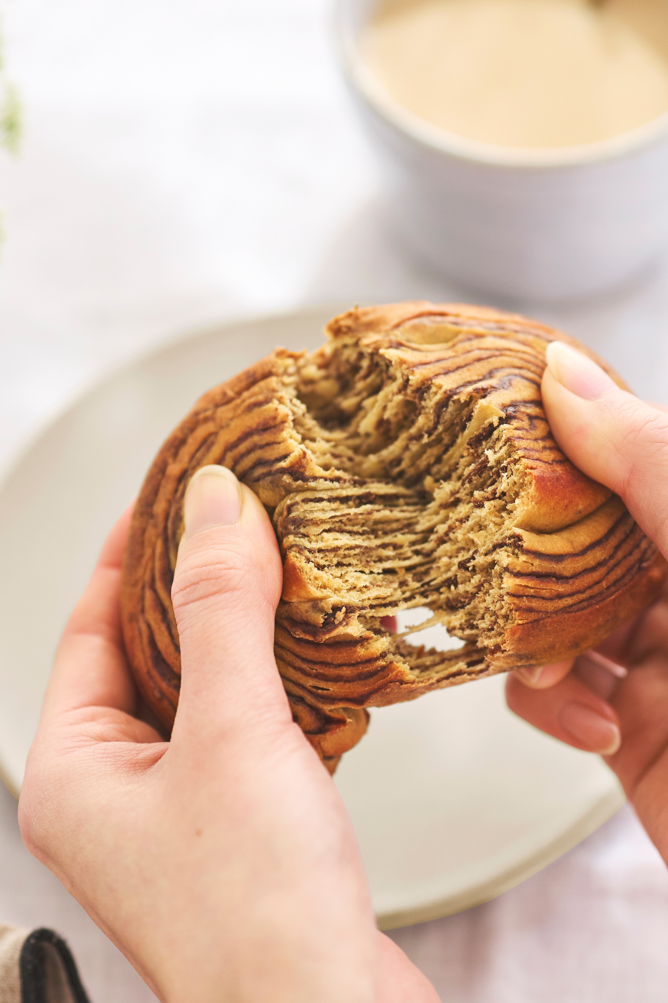 Logo on colored background