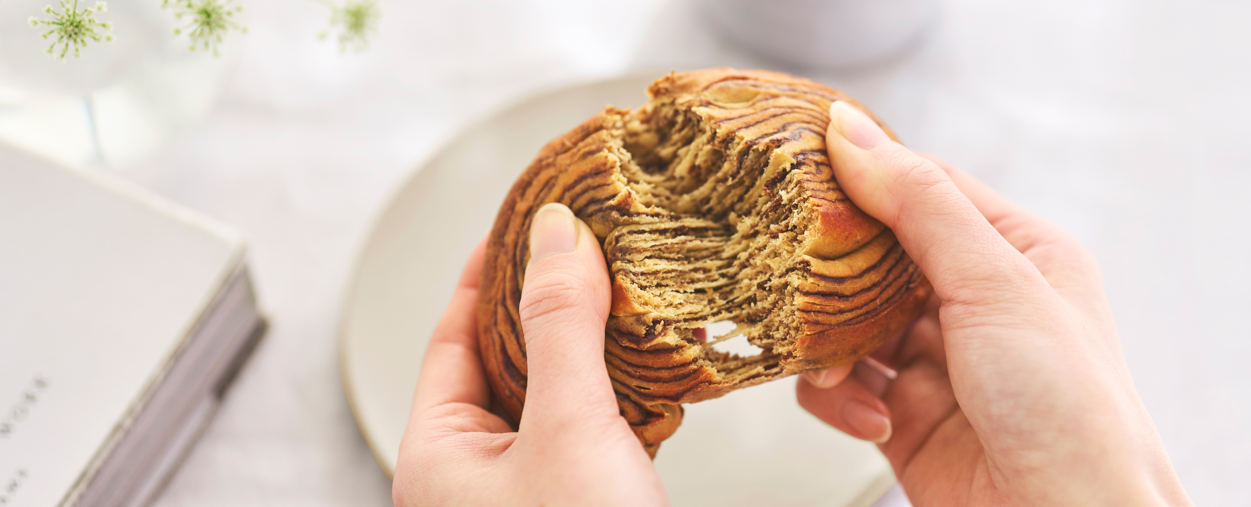 Logo on colored background