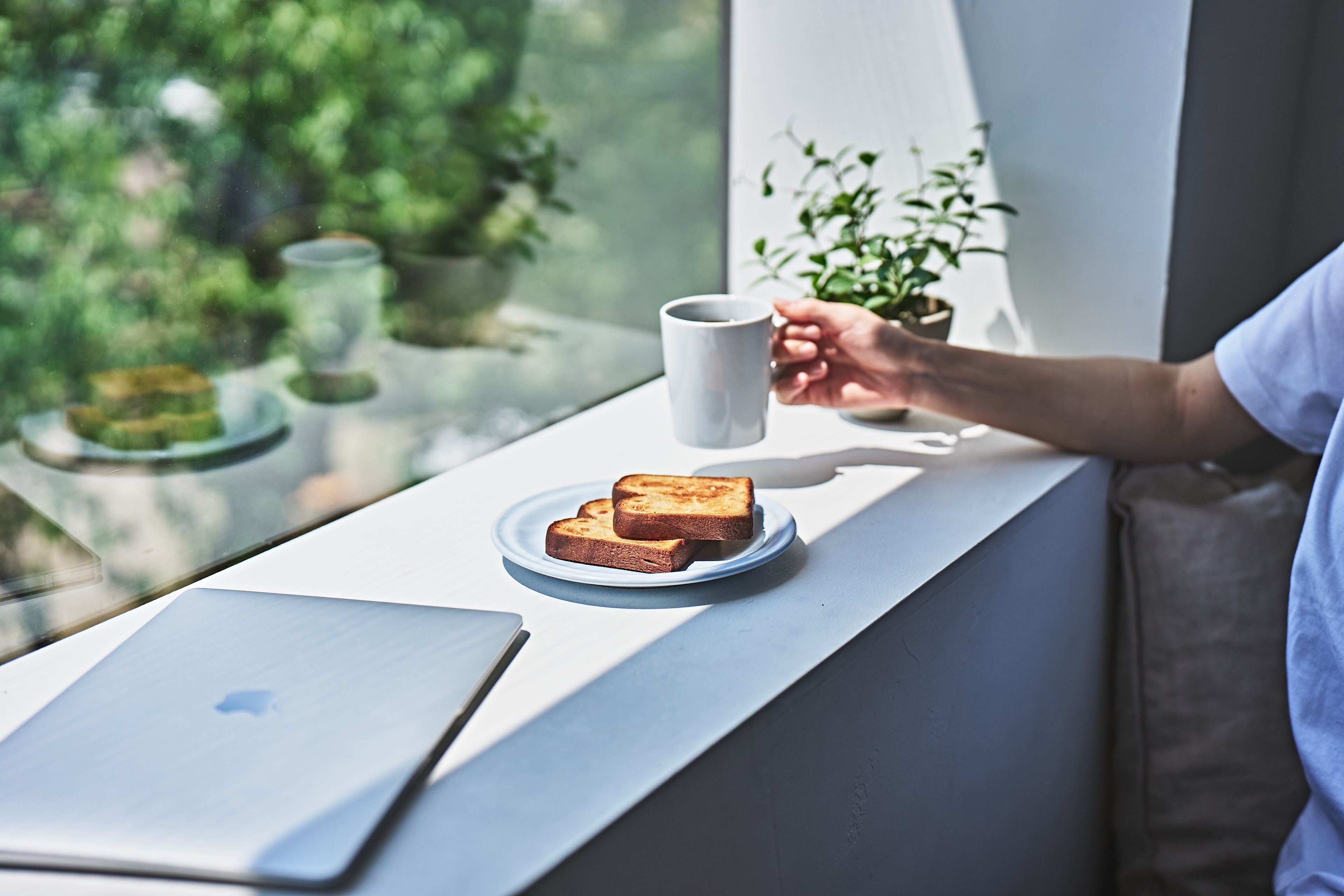 Logo on colored background