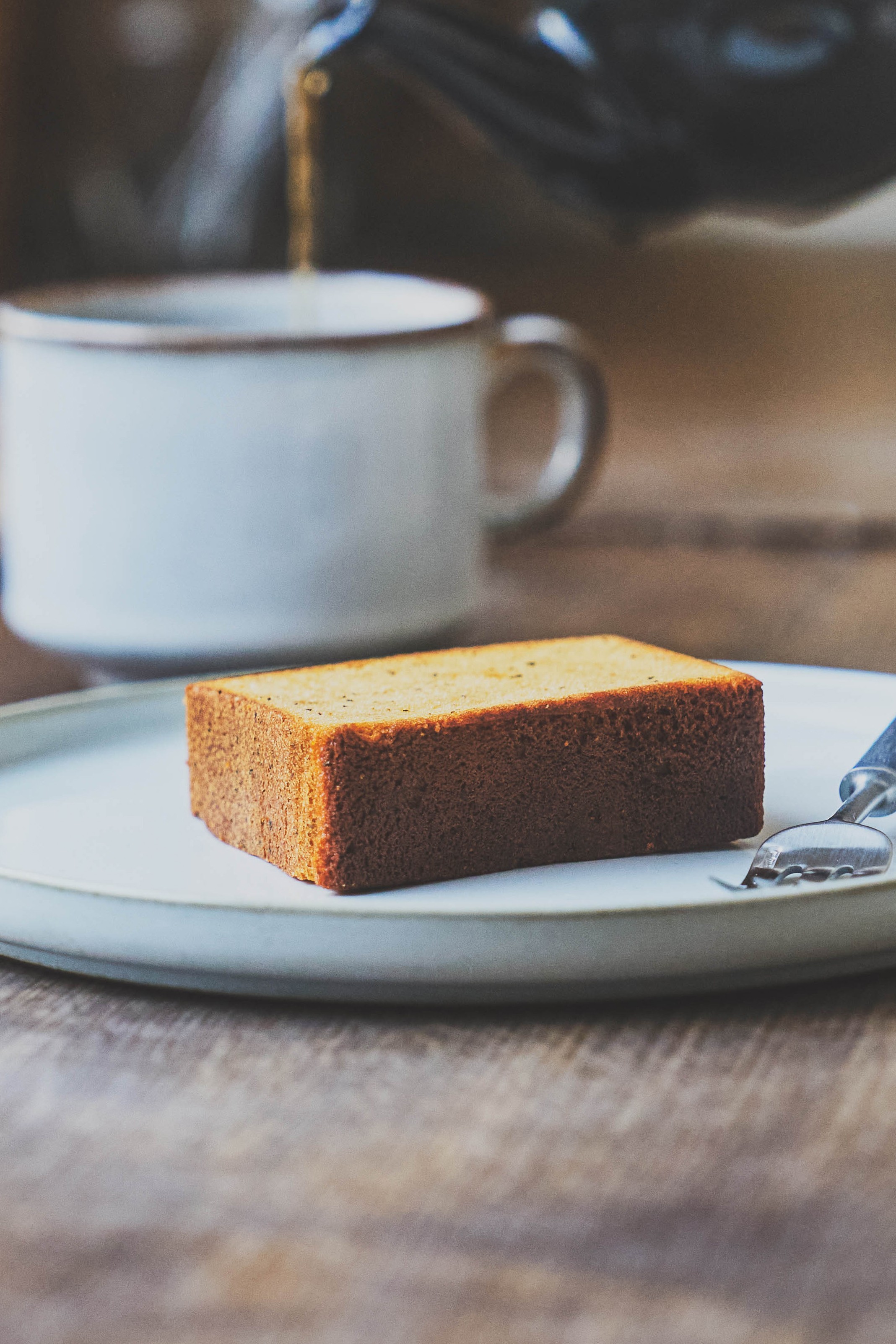 Logo on colored background