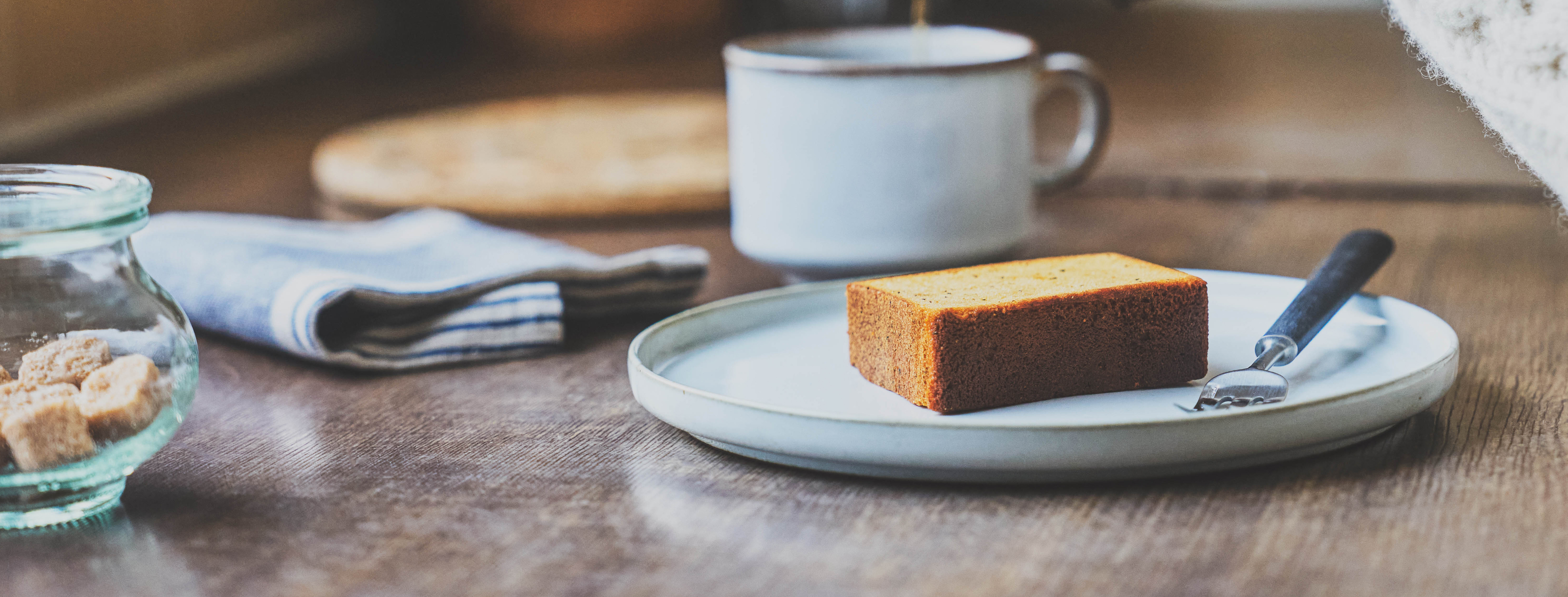 Logo on colored background